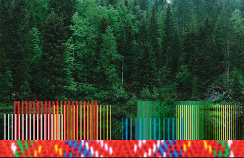Press kit | 837-47 - Press release | Two International Garden Festivals Join Forces - International Garden Festival | Reford Gardens - Landscape Architecture - "FolkFlore" - Photo credit: LNpaysage and Champ Libre, studio créatif
