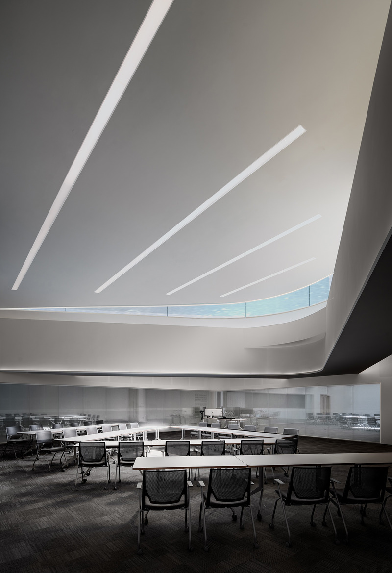 Dossier de presse | 5630-09 - Communiqué de presse | CEIBS Shenzhen Campus - Taigu Design - Architecture industrielle - Crédit photo : <p class=""> flower image</p>