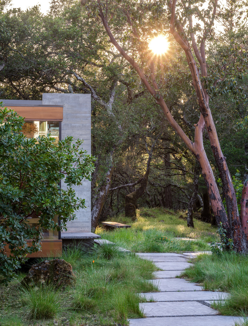Press kit | 2757-44 - Press release | SWATT + PARTNERS' Eloquently Modern Architecture Lives Well in Singular Settings - SWATT + PARTNERS - Residential Architecture - Moss Rock:  Ground Studio Landscape Architecture’s rigorous design pairs seamlessly with nature and the beautiful simplicity of Swatt + Partners’ architecture to exquisite effect. The rest of the project team includes Jamba Construction and Yu Structural Engineers. - Photo credit: Jason Liske