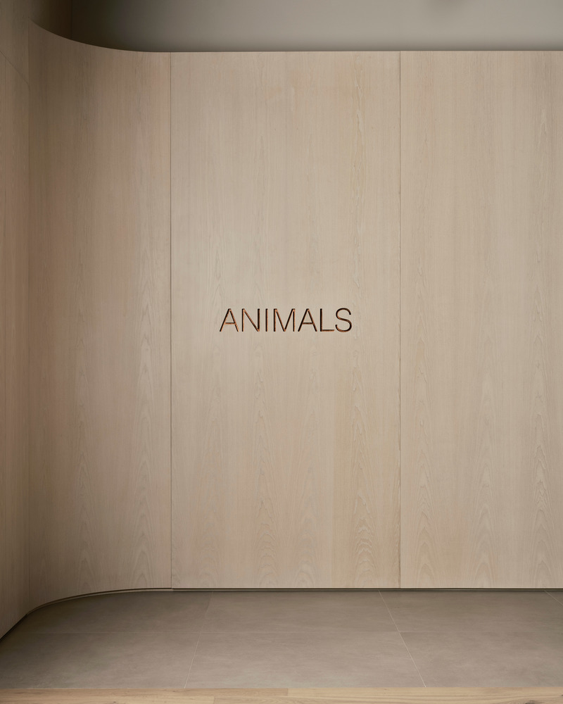 Dossier de presse | 6316-03 - Communiqué de presse | Downtown Film - Ashley Botten Design - Design d’intérieur commercial - <p>A gently curved oak wall with the company’s logo</p> <p>embedded in copper leads to the open-concept space with high ceilings and wooden floors reminiscent of a converted warehouse.</p> - Crédit photo :  Patrick Biller 