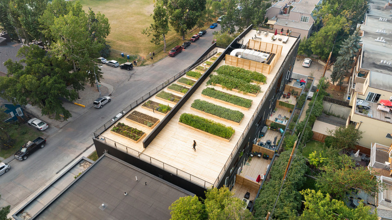 Dossier de presse | 3520-01 - Communiqué de presse | Grow - Modern Office of Design + Architecture - Architecture résidentielle - Crédit photo : Ema Peter