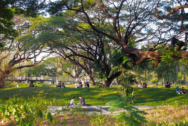 Dossier de presse | 2696-04 - Communiqué de presse | Benjakitti Forest Park: Transforming a Brown Field into Urban Nature - Turenscape - Architecture de paysage - Crédit photo : Turenscape&amp;Arsomsilp