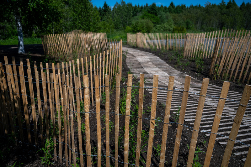 Press kit | 837-49 - Press release | Opening of the 25th International Garden Festival - International Garden Festival - Event + Exhibition - Julia Lines Wilson, "FUTURE DRIFTS" - Photo credit: Martin Bond