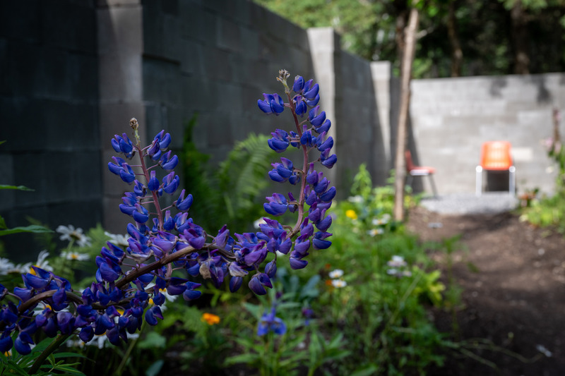 Press kit | 837-49 - Press release | Opening of the 25th International Garden Festival - International Garden Festival - Event + Exhibition - Pioniersplanters, "Rue Liereman | Organ Man Street" - Photo credit: Martin Bond