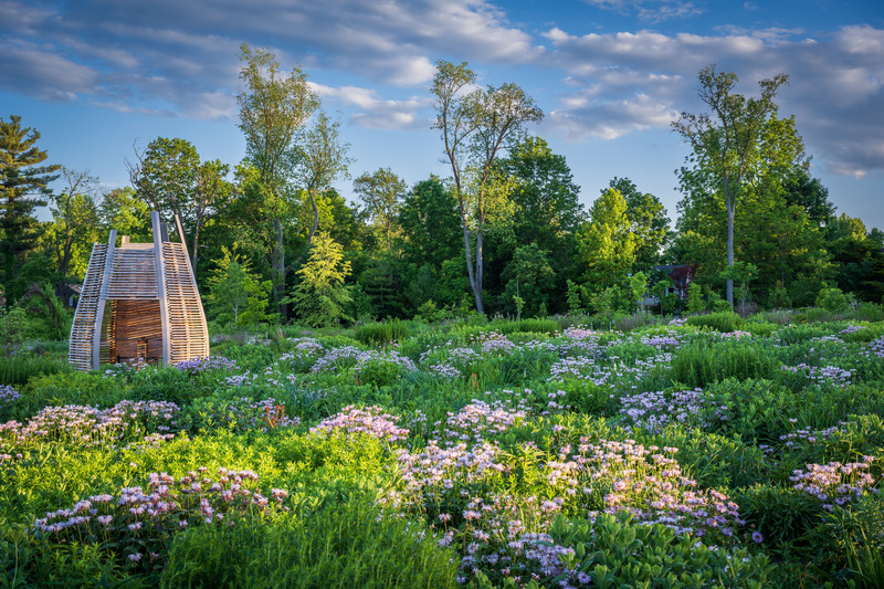 Dossier de presse | 7594-01 - Communiqué de presse | Pollinator and Bird Garden, Designed by Didier Design Studio, Named Winner of International Sustainability Award - Didier Design Studio - Architecture de paysage - Where the Pollinators Are, by Didier Design Studio<br style=""> - Crédit photo : Rob Cardillo