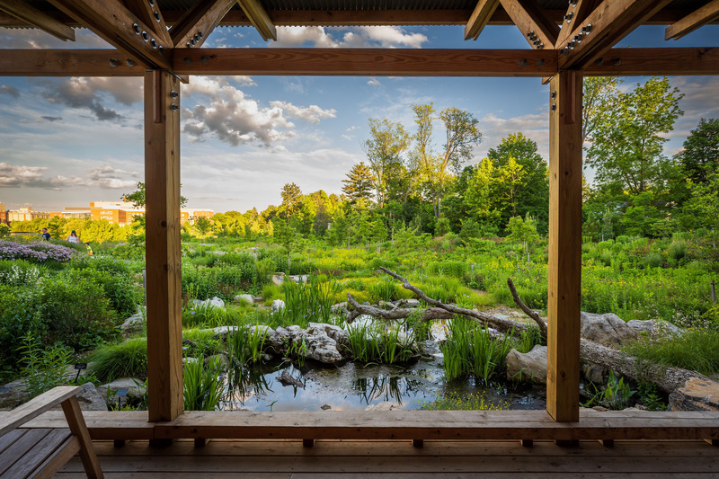 Dossier de presse | 7594-01 - Communiqué de presse | Pollinator and Bird Garden, Designed by Didier Design Studio, Named Winner of International Sustainability Award - Didier Design Studio - Architecture de paysage - View from the Birdhouse with three separate viewing platforms. Where the Pollinators Are, by Didier Design Studio in collaboration with Lake Flato Architecture - Crédit photo : Rob Cardillo