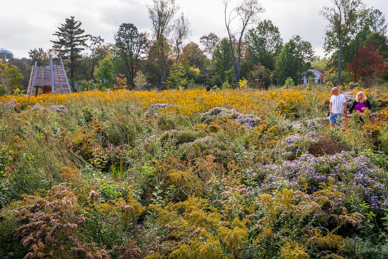 Dossier de presse | 7594-01 - Communiqué de presse | Pollinator and Bird Garden, Designed by Didier Design Studio, Named Winner of International Sustainability Award - Didier Design Studio - Architecture de paysage - Rich planting supports pollinators throughout the seasons. Where the Pollinators Are, by Didier Design Studio - Crédit photo : Rob Cardillo