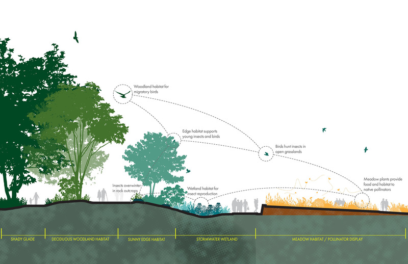 Dossier de presse | 7594-01 - Communiqué de presse | Pollinator and Bird Garden, Designed by Didier Design Studio, Named Winner of International Sustainability Award - Didier Design Studio - Architecture de paysage - So much life exists in and between two conditions. Where the Pollinators Are, by Didier Design Studio - Crédit photo : Didier Design Studio