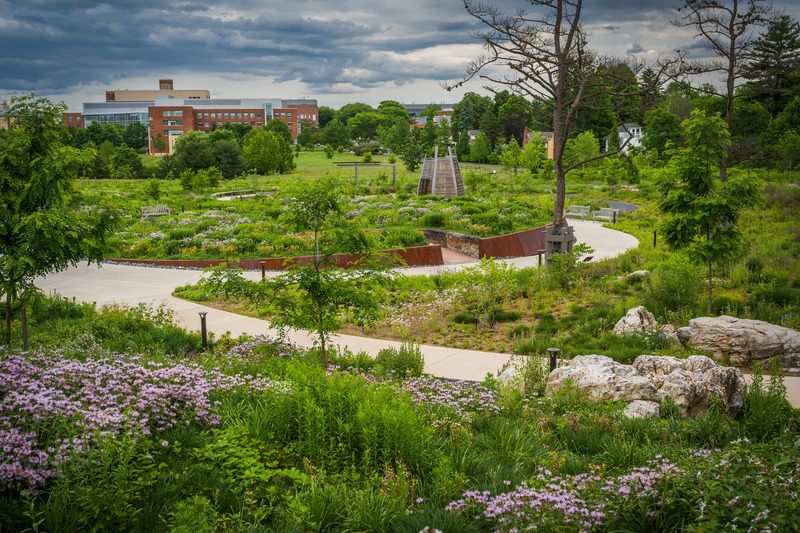 Dossier de presse | 7594-01 - Communiqué de presse | Pollinator and Bird Garden, Designed by Didier Design Studio, Named Winner of International Sustainability Award - Didier Design Studio - Architecture de paysage - Where the Pollinators Are, by Didier Design Studio - Crédit photo : Rob Cardillo