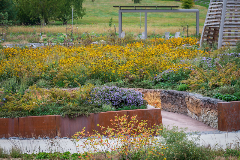 Dossier de presse | 7594-01 - Communiqué de presse | Pollinator and Bird Garden, Designed by Didier Design Studio, Named Winner of International Sustainability Award - Didier Design Studio - Architecture de paysage - Pollinator Disc, Where the Pollinators Are, by Didier Design Studio - Crédit photo : Rob Cardillo