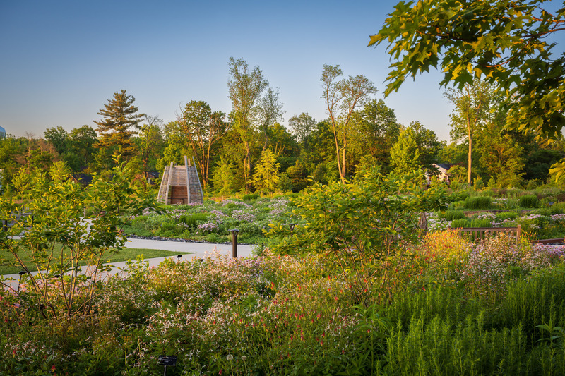 Dossier de presse | 7594-01 - Communiqué de presse | Pollinator and Bird Garden, Designed by Didier Design Studio, Named Winner of International Sustainability Award - Didier Design Studio - Architecture de paysage - Where the Pollinators Are, by Didier Design Studio - Crédit photo : Rob Cardillo