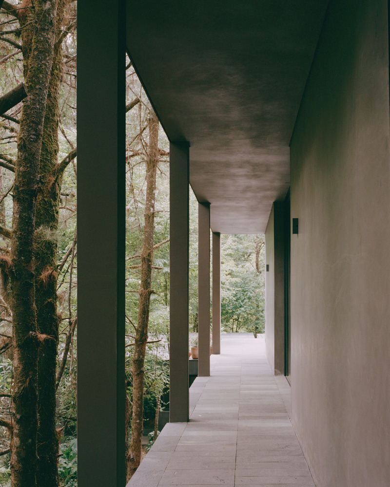 Dossier de presse | 2840-01 - Communiqué de presse | Copas, a House Shaped by Nature - Pérez Palacios Arquitectos Asociados I PPAA - Architecture résidentielle - Crédit photo : <p class="">Rory Gardiner</p><p class="">@arorygardiner</p>