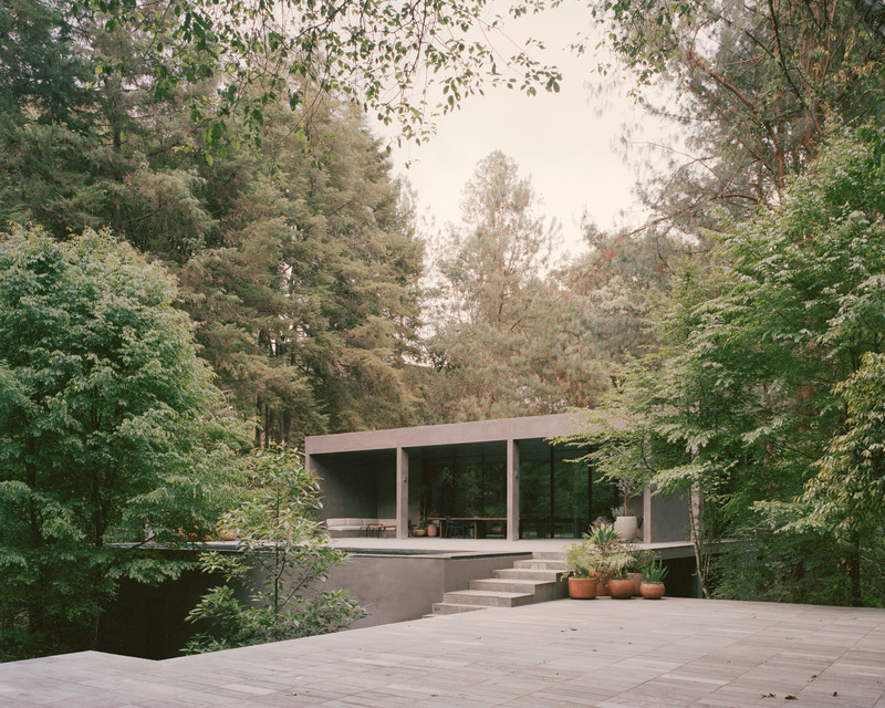 Dossier de presse | 2840-01 - Communiqué de presse | Copas, a House Shaped by Nature - Pérez Palacios Arquitectos Asociados I PPAA - Architecture résidentielle - Crédit photo : <p class="">Rory Gardiner</p><p class="">@arorygardiner</p>