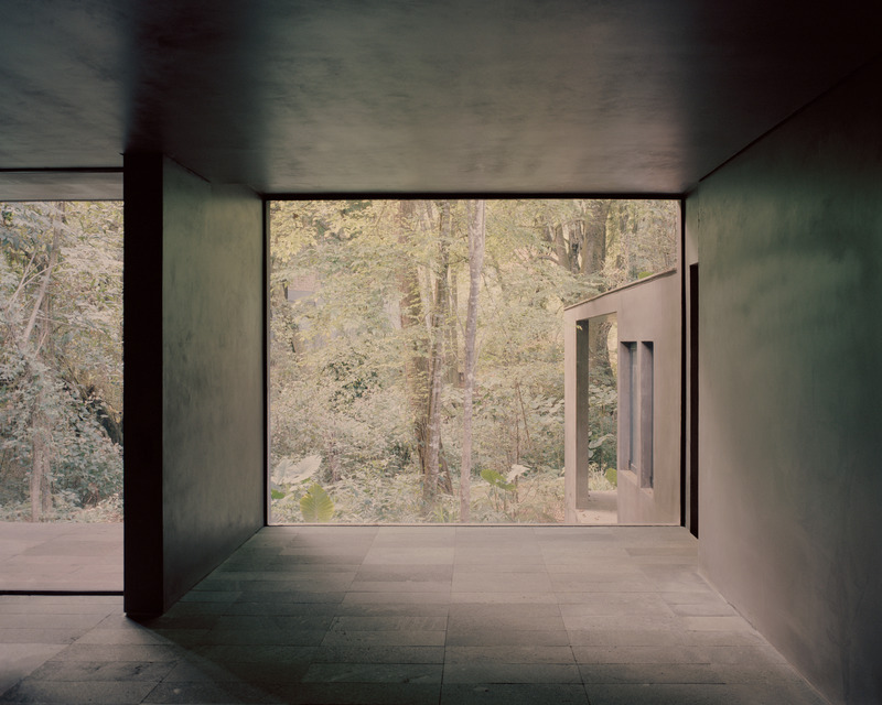 Dossier de presse | 2840-01 - Communiqué de presse | Copas, a House Shaped by Nature - Pérez Palacios Arquitectos Asociados I PPAA - Architecture résidentielle - Crédit photo : <p class="">Rory Gardiner</p><p class="">@arorygardiner</p>