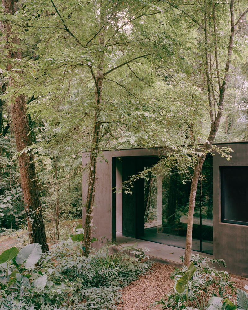 Dossier de presse | 2840-01 - Communiqué de presse | Copas, a House Shaped by Nature - Pérez Palacios Arquitectos Asociados I PPAA - Architecture résidentielle - Crédit photo : <p class="">Rory Gardiner</p><p class="">@arorygardiner</p>