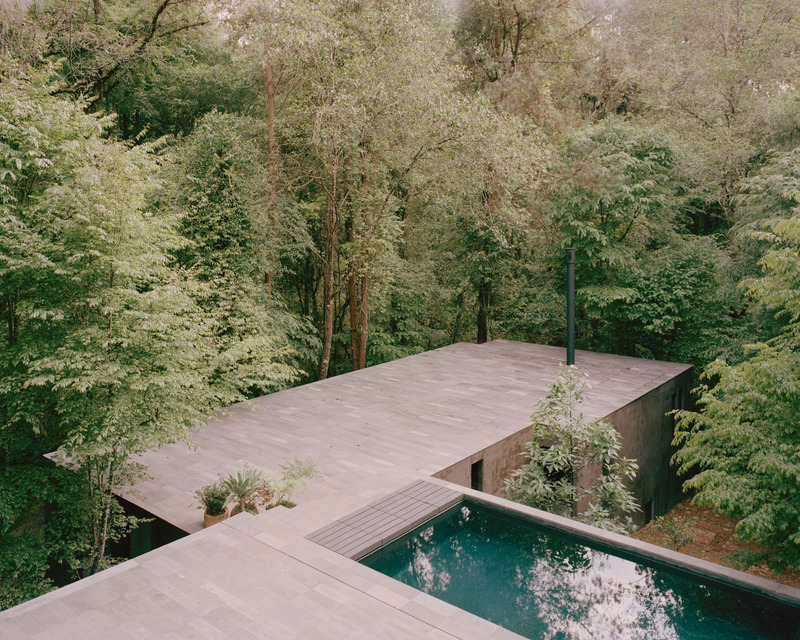 Dossier de presse | 2840-01 - Communiqué de presse | Copas, a House Shaped by Nature - Pérez Palacios Arquitectos Asociados I PPAA - Architecture résidentielle - Crédit photo : <p class="">Rory Gardiner</p><p class="">@arorygardiner</p>