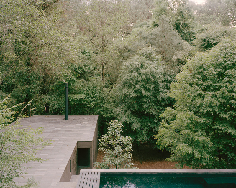 Dossier de presse | 2840-01 - Communiqué de presse | Copas, a House Shaped by Nature - Pérez Palacios Arquitectos Asociados I PPAA - Architecture résidentielle - Crédit photo : <p class="">Rory Gardiner</p><p class="">@arorygardiner</p>
