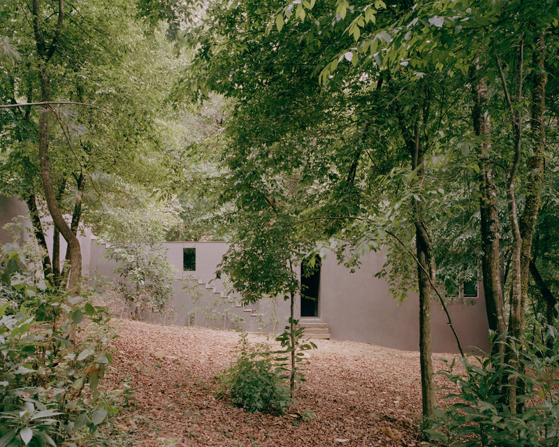 Dossier de presse | 2840-01 - Communiqué de presse | Copas, a House Shaped by Nature - Pérez Palacios Arquitectos Asociados I PPAA - Architecture résidentielle - Crédit photo : <p class="">Rory Gardiner</p><p class="">@arorygardiner</p>