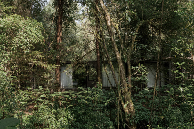 Dossier de presse | 2840-01 - Communiqué de presse | Copas, a House Shaped by Nature - Pérez Palacios Arquitectos Asociados I PPAA - Architecture résidentielle - Crédit photo : <p>Luis Garvan</p><p>@luisgarvan</p>