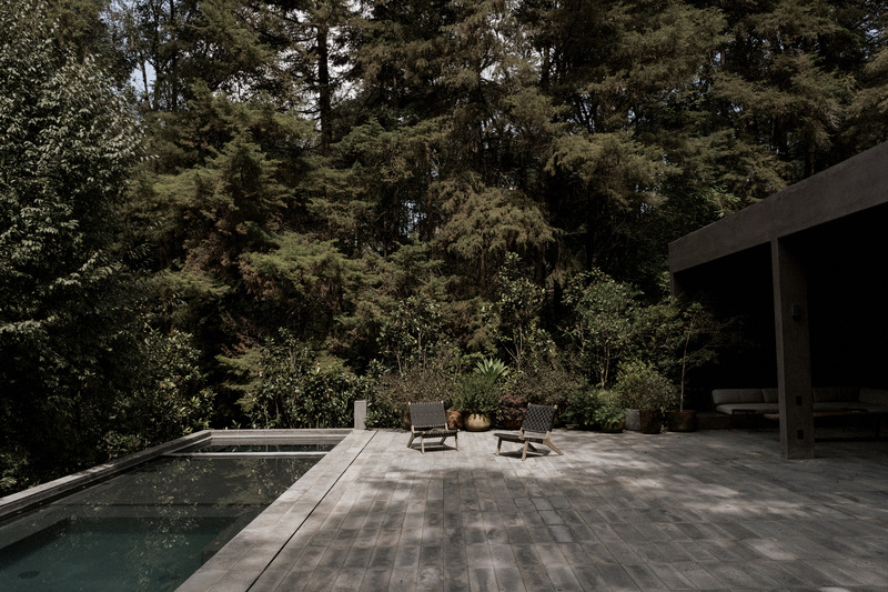 Dossier de presse | 2840-01 - Communiqué de presse | Copas, a House Shaped by Nature - Pérez Palacios Arquitectos Asociados I PPAA - Architecture résidentielle - Crédit photo : <p>Luis Garvan</p><p>@luisgarvan</p>