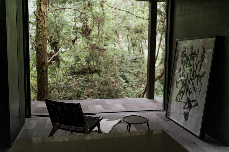 Dossier de presse | 2840-01 - Communiqué de presse | Copas, a House Shaped by Nature - Pérez Palacios Arquitectos Asociados I PPAA - Architecture résidentielle - Crédit photo : <p>Luis Garvan</p><p>@luisgarvan</p>