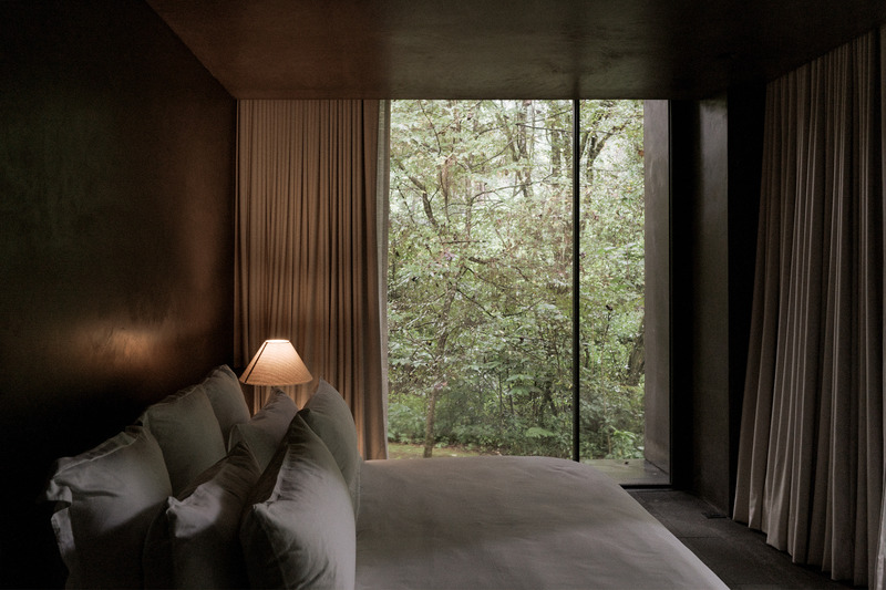 Dossier de presse | 2840-01 - Communiqué de presse | Copas, a House Shaped by Nature - Pérez Palacios Arquitectos Asociados I PPAA - Architecture résidentielle - Crédit photo : <p>Luis Garvan</p><p>@luisgarvan</p>