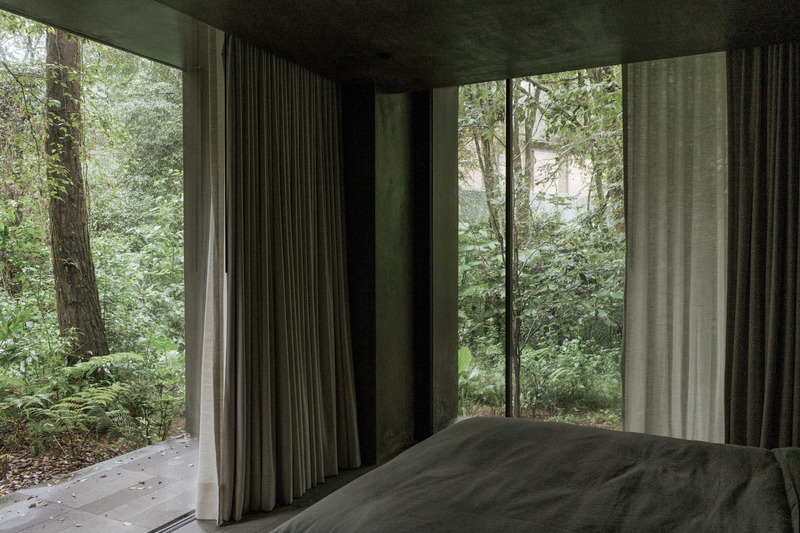 Dossier de presse | 2840-01 - Communiqué de presse | Copas, a House Shaped by Nature - Pérez Palacios Arquitectos Asociados I PPAA - Architecture résidentielle - Crédit photo : <p>Luis Garvan</p><p>@luisgarvan</p>