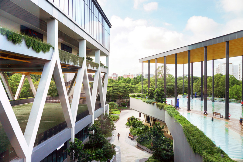 Dossier de presse | 4036-01 - Communiqué de presse | DP Architects’ SAFRA CCK Clubhouse Wins Sustainable Sports & Recreation Building at Architizer A+Awards 2024 - DP Architects - Architecture commerciale -  <p class="">The porosity of this high-volume space gives the impression of being in a natural wooded environment. The pool is elevated into the tree canopies, blending into foliage. Its roof is supported by sleek twin columns, creating stunning panoramic views and amplifying the intimate connection between the courtyard and Choa Chu Kang Park.</p>  - Crédit photo : DP Architects