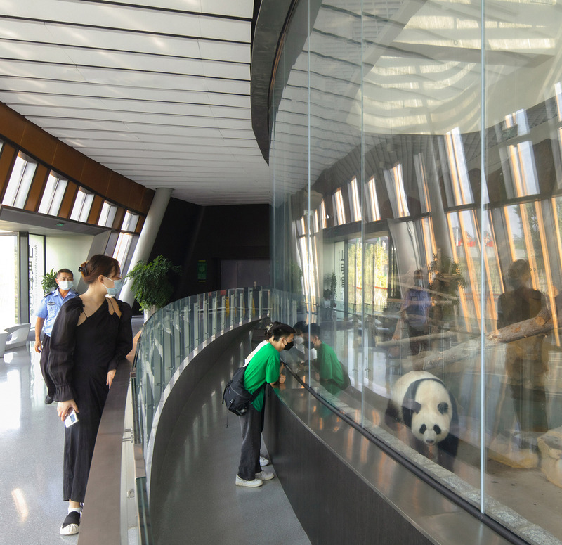 Press kit | 4743-01 - Press release | The Panda Pavilions Wins Architizer A+Awards 2024 Jury Winner Award - Atelier Ping Jiang | EID Arch - Institutional Architecture - Photo credit: arch-exist photography