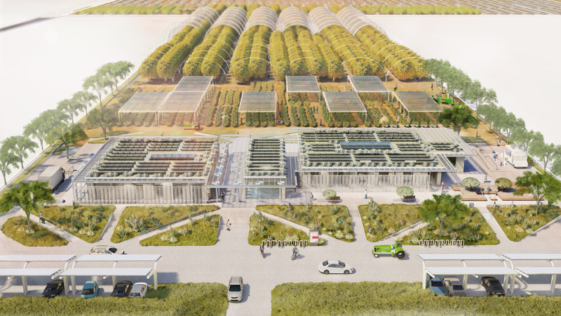 Press kit | 661-84 - Press release | WAFX 2024 Prize Winners Announced: Recognising Architects Tackling Today’s Global Issues - World Architecture Festival (WAF) - Competition - Food - Parasol Agriculture Center by Fractalviews - Photo credit: Saba Raji