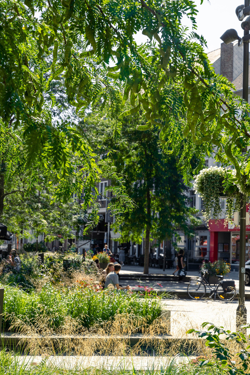 Press kit | 7576-01 - Press release | OKRA Wins Popular Vote Best Landscape Design Firm - OKRA - Landscape Architecture - Mechelen city centre, BE - Photo credit: Thomas Wolfs