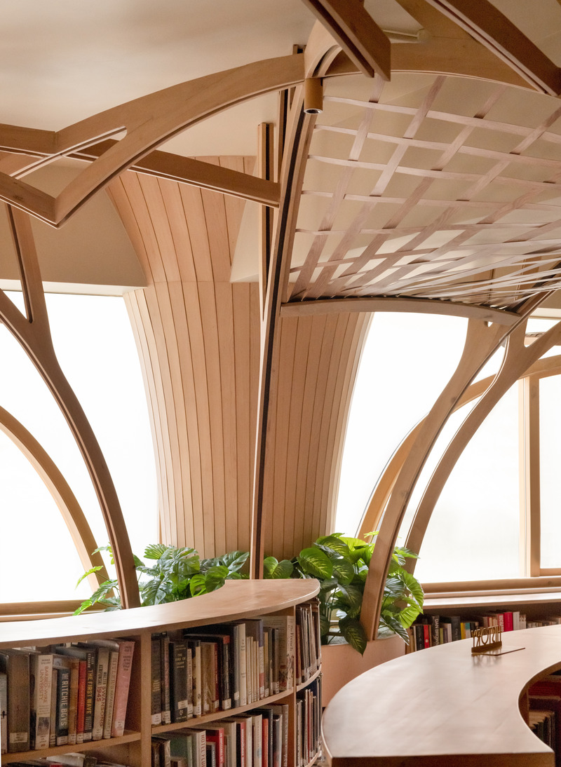 Press kit | 7591-01 - Press release | The Forest of Knowledge - studio HINGE - Commercial Interior Design - Detail of the branches and canopy at the peripheral trees - Photo credit: Suryan//Dang