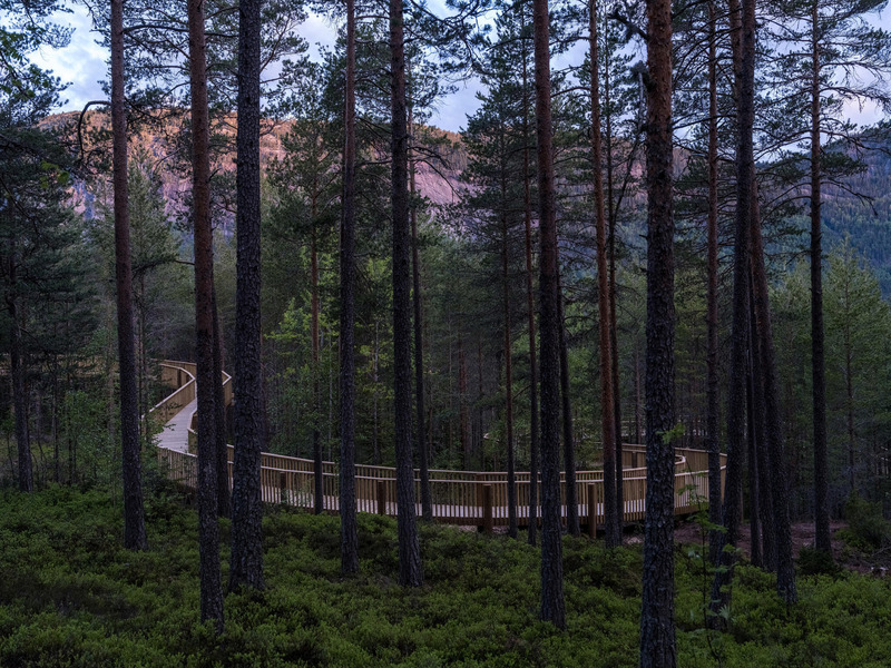 Dossier de presse | 4709-13 - Communiqué de presse | World's 82 Best Buildings Shortlisted for Dezeen Awards 2024 - Dezeen - Concours - Treetop Walkway in Hamaren Activity Park, EFFEKT Arkitekter ApS, Fyresdal, Norway