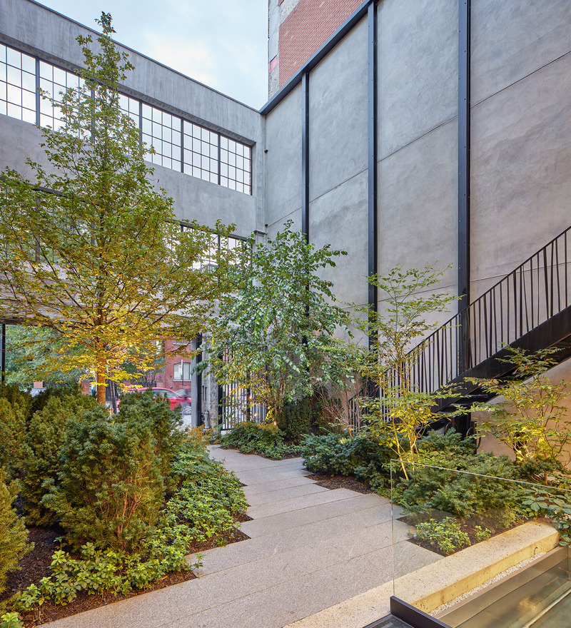 Dossier de presse | 5912-01 - Communiqué de presse | A Tale of Multiple Cities: Cohlmeyer Architecture’s Enduring Collaboration with Montauk Sofa - Cohlmeyer Architecture - Design d’intérieur commercial - Montauk Sofa Montreal - Crédit photo : Nanne Springer