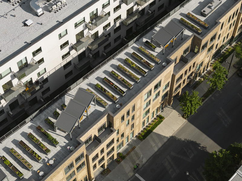 Press kit | 1676-08 - Press release | Mellem Ville-Marie: A Model of Gentle Densification Inspired by Montreal - ADHOC - Residential Architecture - 7,000 sq. ft. rooftop terrace, offering planter boxes accessible to residents. - Photo credit: Maxime Brouillet