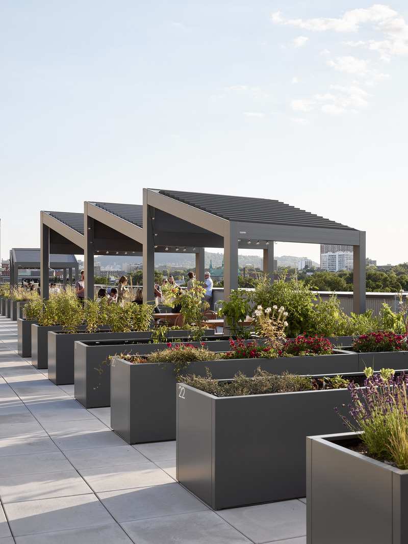Press kit | 1676-08 - Press release | Mellem Ville-Marie: A Model of Gentle Densification Inspired by Montreal - ADHOC - Residential Architecture - Adorned with pergolas reminiscent of the railway past, this space fosters gatherings and collaboration. - Photo credit: Maxime Brouillet