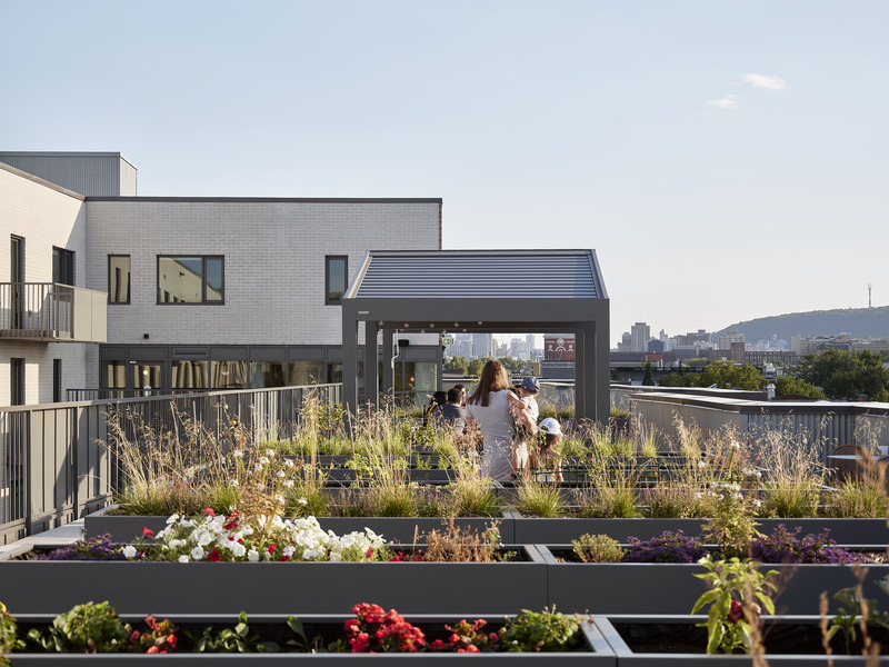 Press kit | 1676-08 - Press release | Mellem Ville-Marie: A Model of Gentle Densification Inspired by Montreal - ADHOC - Residential Architecture - This space promotes local agriculture while becoming a true gathering and meeting place, strengthening social ties within the community - Photo credit: Maxime Brouillet