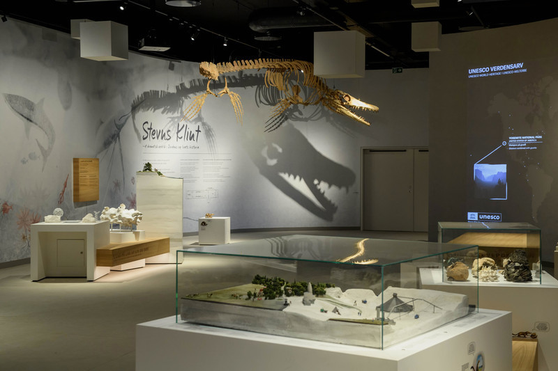 Dossier de presse - Communiqué de presse - Stevns Klint Experience Highlights Dinosaur Extinction as Well as Human Origins - Tinker imagineers