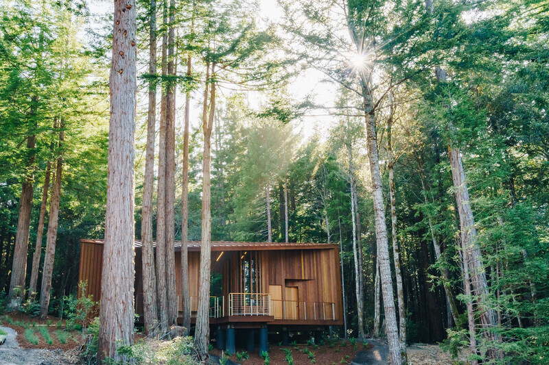 Newsroom | v2com-newswire | Newswire | Architecture | Design | Lifestyle - Press release - Better Place Forests - OpenScope Studio