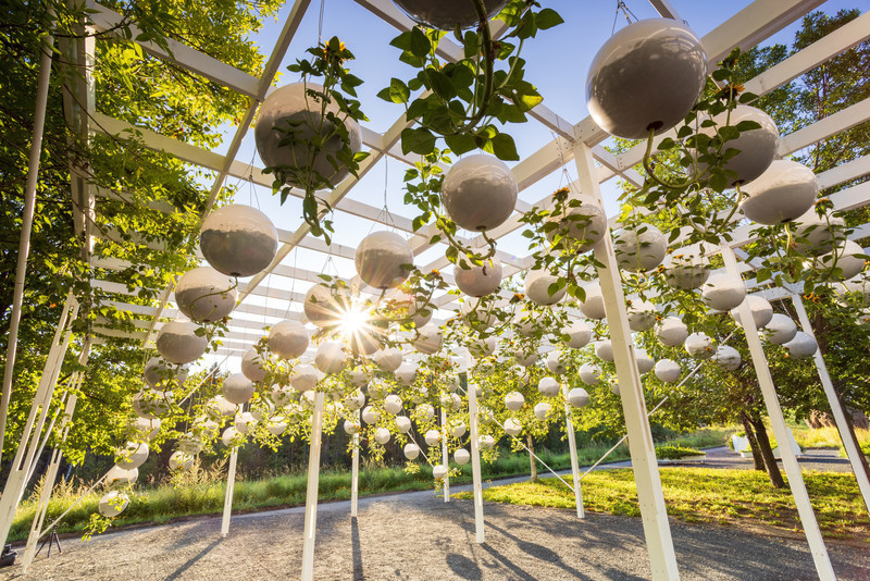 Newsroom | v2com-newswire | Newswire | Architecture | Design | Lifestyle - Press release - Call for Proposals – 24th International Garden Festival: Roots - International Garden Festival | Reford Gardens