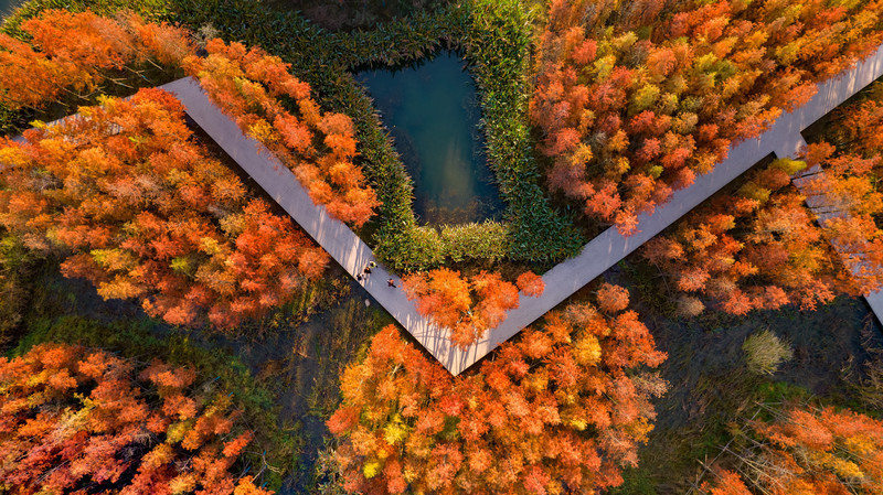 Press kit - Press release - A Floating Forest: Fish Tail Park in Nanchang City - Turenscape