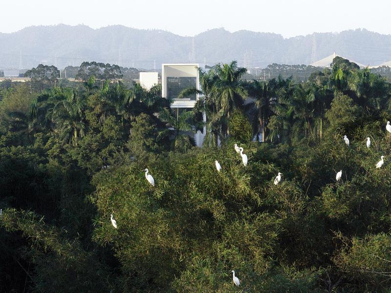 Press kit - Press release - Shunde Yunlu Wetland Museum - Studio Link-Arc