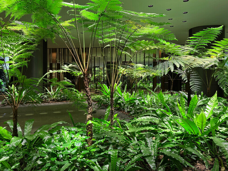 Newsroom | v2com-newswire | Newswire | Architecture | Design | Lifestyle - Press release - Zero Sunlight - MAERICH