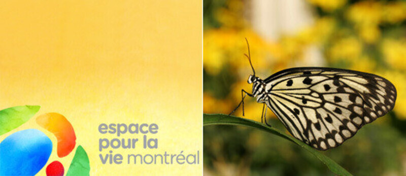 Newsroom | v2com-newswire | Newswire | Architecture | Design | Lifestyle - Press release - Space for Life Architecture CompetitionThree Major Projects for Montréal's 375th Anniversary in 2017 - Bureau du design - Ville de Montréal