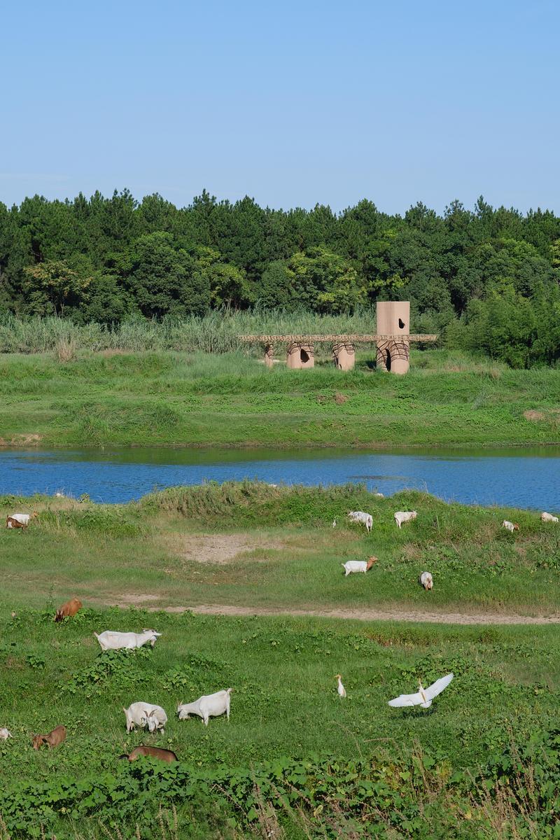Newsroom | v2com-newswire | Newswire | Architecture | Design | Lifestyle - Press release - Wetland Caves: A Discovery Pavilion in the Longyou Wetlands - Studio 10