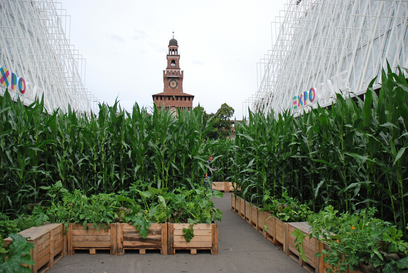 Newsroom | v2com-newswire | Newswire | Architecture | Design | Lifestyle - Press release - A pop-up field in the centre of the city - A4A Rivolta Savioni Architetti